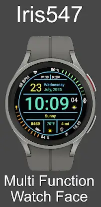 Iris547 Multi-Function Digital screenshot 3