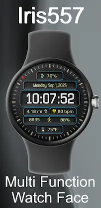 Iris557 Multi-Function Digital screenshot 1