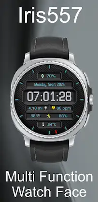 Iris557 Multi-Function Digital screenshot 3