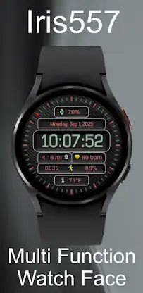 Iris557 Multi-Function Digital screenshot 2