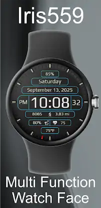 Iris559 Multi-Function Digital screenshot 1