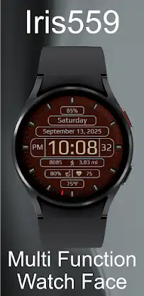 Iris559 Multi-Function Digital screenshot 3