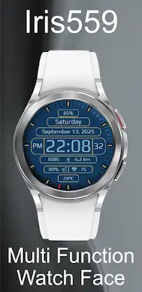 Iris559 Multi-Function Digital screenshot 2
