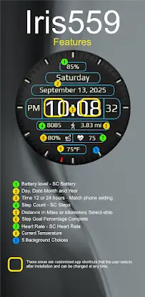 Iris559 Multi-Function Digital screenshot 5
