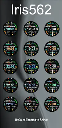 Iris562 Multi-Function Digital screenshot 7