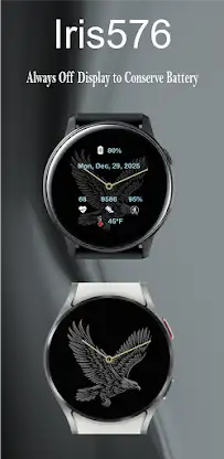 Iris576 Eagle Theme Watch Face screenshot 8