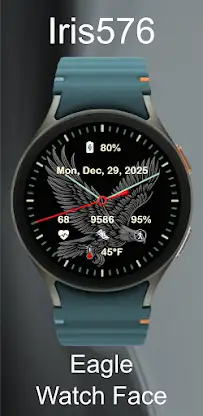 Iris576 Eagle Theme Watch Face screenshot 4