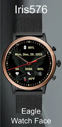 Iris576 Eagle Theme Watch Face screenshot 3