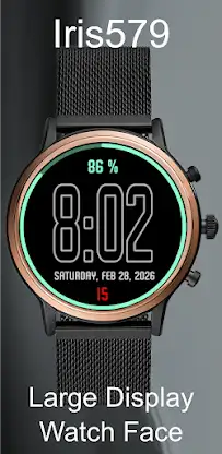 Iris579 Large Display Face screenshot 3
