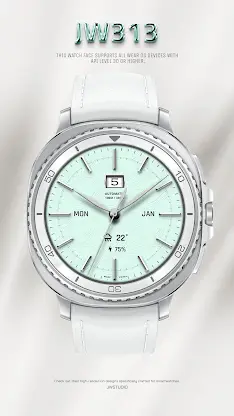 JW313 jwstudio screenshot 1