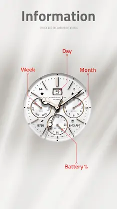 JW319 QUARTZ26 screenshot 7