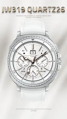 JW319 QUARTZ26 screenshot 1