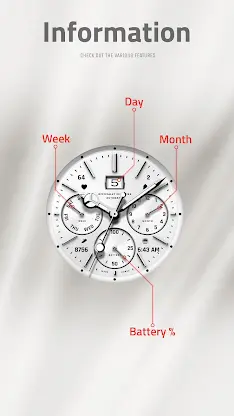 JW319 QUARTZ26 SILVER screenshot 7