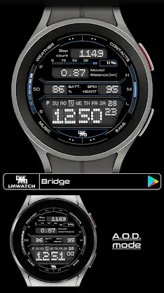 LMwatch bridge screenshot 1