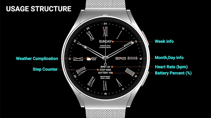 MIMIX MX Platinum S1 Watchface screenshot 7