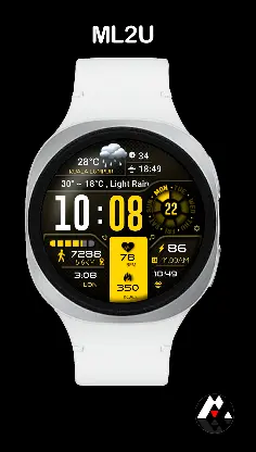 ML2U 134b Digital Hybrid screenshot 4