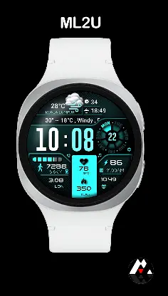 ML2U 134b Digital Hybrid screenshot 3