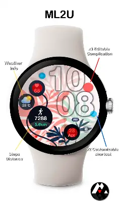ML2U 244 Watch Face screenshot 2