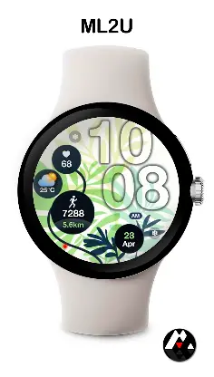 ML2U 244 Watch Face screenshot 4