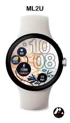 ML2U 244 Watch Face screenshot 3