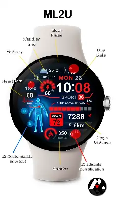 ML2U 245 Watch Face screenshot 2