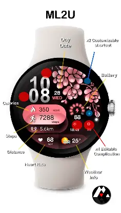 ML2U 252 Watch Face screenshot 2
