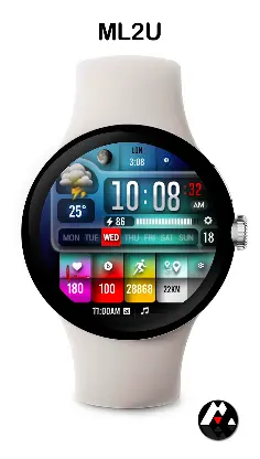 ML2U 254 Watch Face screenshot 4