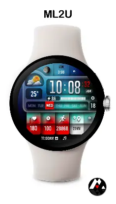 ML2U 254 Watch Face screenshot 6