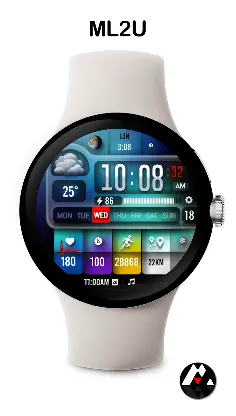 ML2U 254 Watch Face screenshot 5