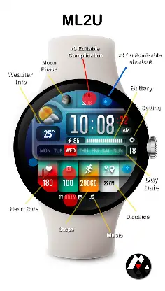 ML2U 254 Watch Face screenshot 2