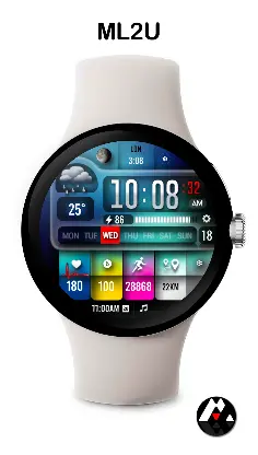 ML2U 254 Watch Face screenshot 3