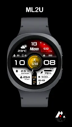 ML2U 293 Watch Face screenshot 3