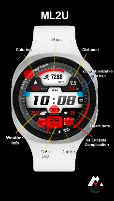 ML2U 295 Watch Face screenshot 2