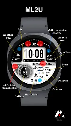 ML2U 320 Watch Face screenshot 2