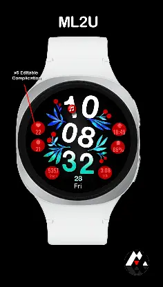 ML2U 340 Watch Face screenshot 2