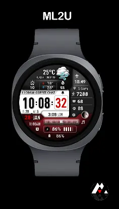 ML2U 377 Watch Face screenshot 5