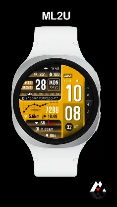 ML2U 409 Tactical Digital screenshot 3