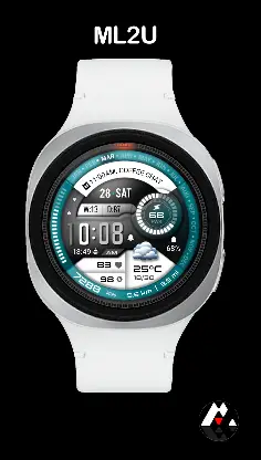 ML2U 411 Tactical Digital screenshot 1