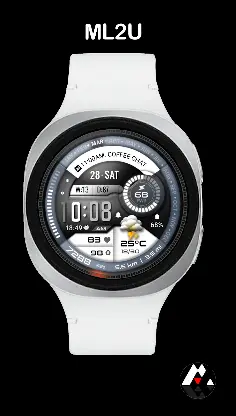 ML2U 411 Tactical Digital screenshot 8