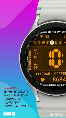 Classic Digital 027 screenshot 2