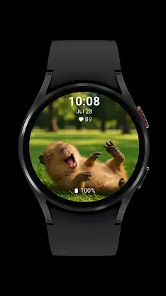 Happy Capybara screenshot 2