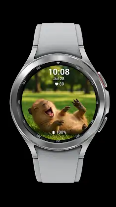 Happy Capybara screenshot 6