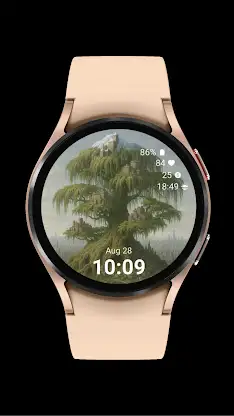Tree City Watch screenshot 5