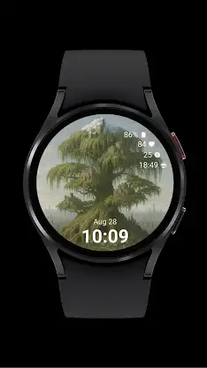 Tree City Watch screenshot 6