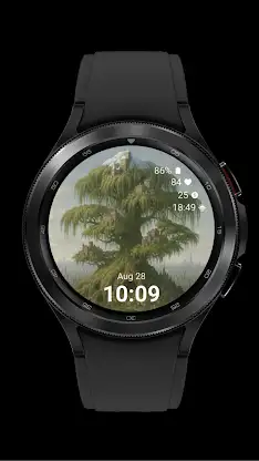 Tree City Watch screenshot 8