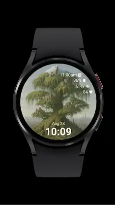 Tree City Watch screenshot 2