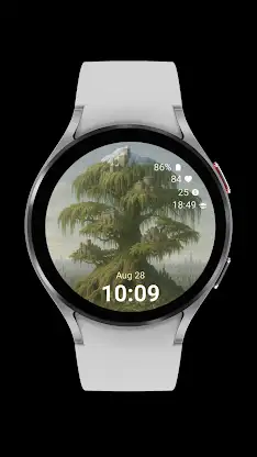 Tree City Watch screenshot 7