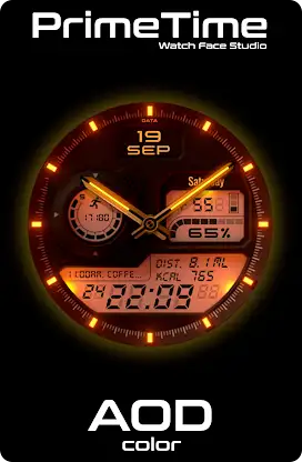 PT53 Hybrid Watch Face screenshot 8