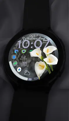 RW109 Floral Garden Bloom screenshot 3