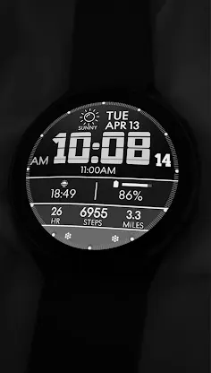 RW110 Big Time Dashboard screenshot 1